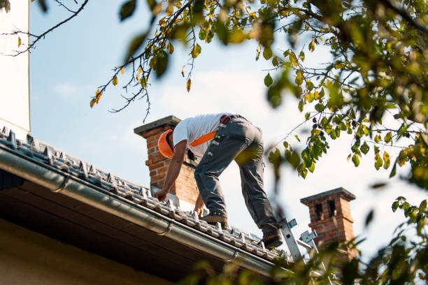 Best Storm Damage Roof Repair  in New Vienna, OH